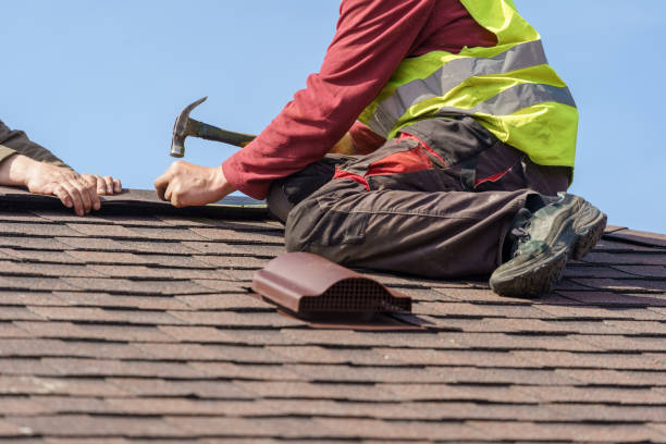 Best Roof Repair Services  in Wabasso, FL