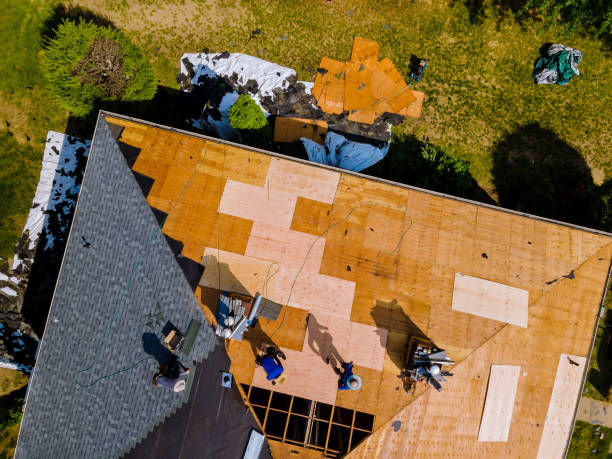 Best Gutter Installation and Roofing  in Wabasso, FL