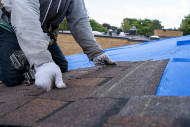 Best Tile Roofing Contractor  in Wabasso, FL