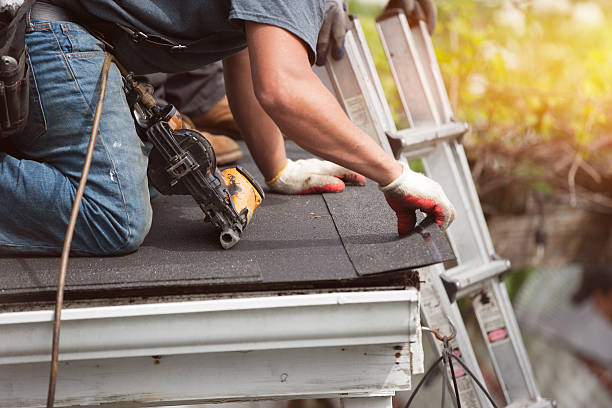 Best Roof Gutter Cleaning  in Wabasso, FL