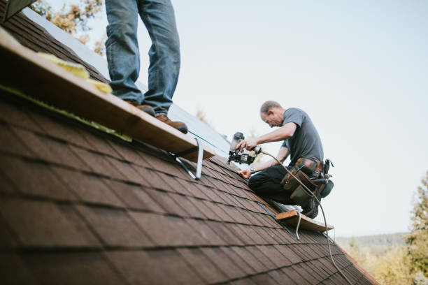 Professional Roofing Contractor in Wabasso, FL