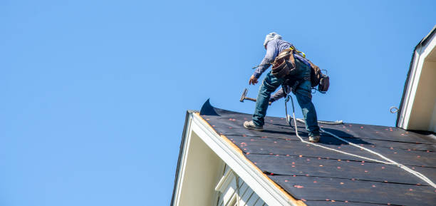 Best Roof Maintenance Services  in Wabasso, FL